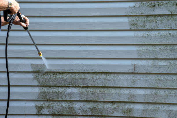 Best Demolition Debris Removal  in Holtsville, NY