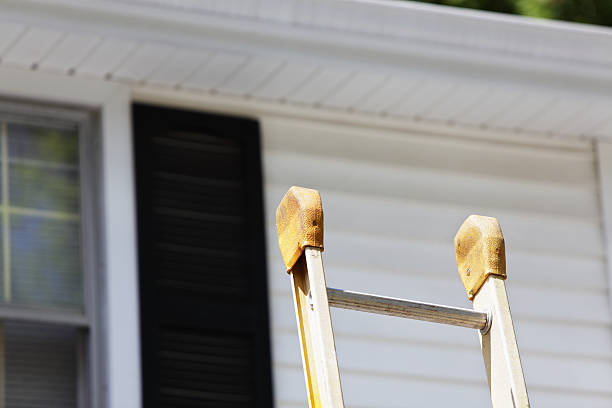 Best Dumpster Rental Services  in Holtsville, NY