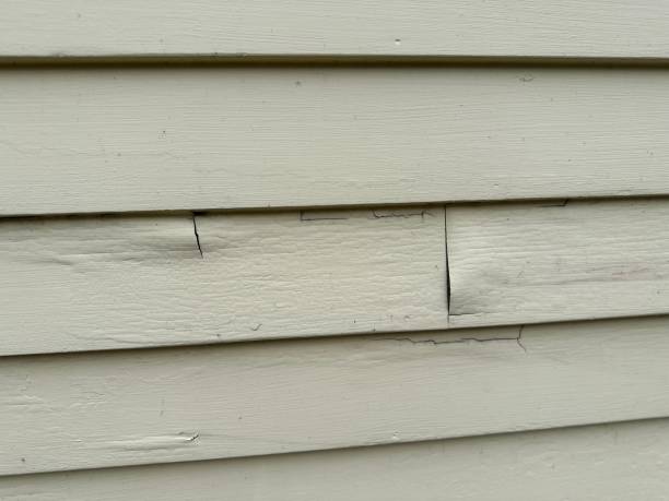 Best Shed Removal  in Holtsville, NY