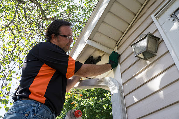 Best Same-Day Junk Removal Services  in Holtsville, NY